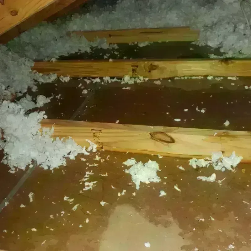 Attic Water Damage in Bay City, OR