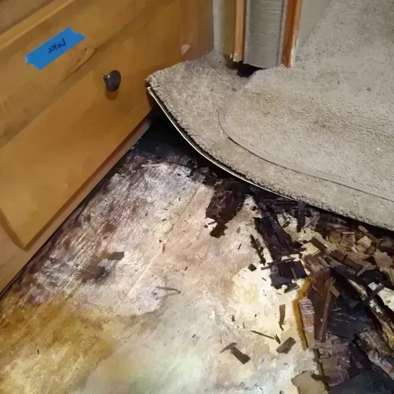 Wood Floor Water Damage in Bay City, OR